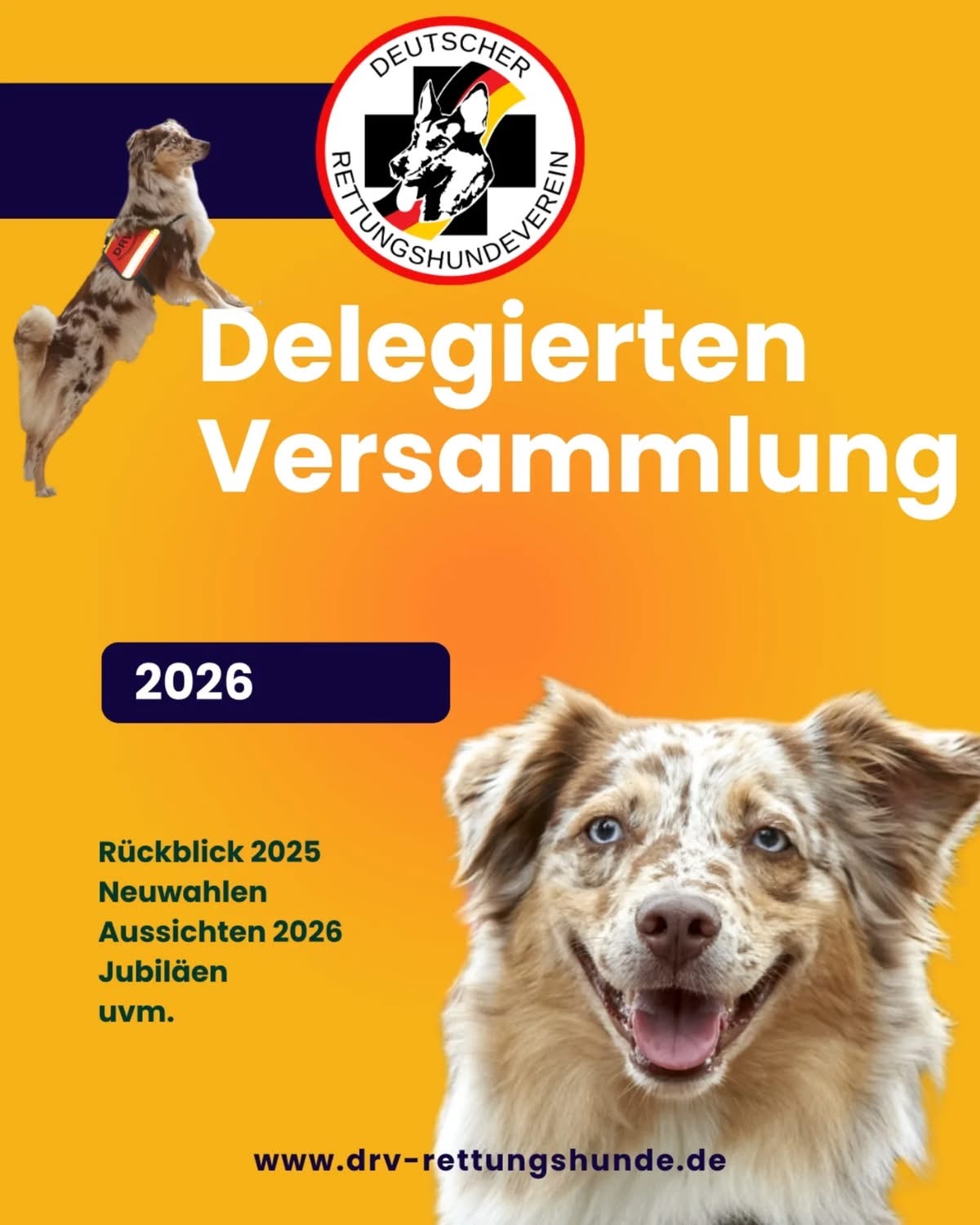 Delegiertenversammlung 2026