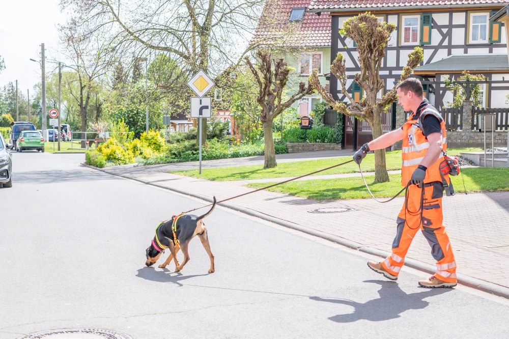 Rettungshundestaffel Teamdogs – Jetzt spenden!