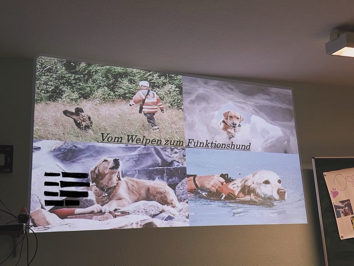 Teamdogs meets Regelschule