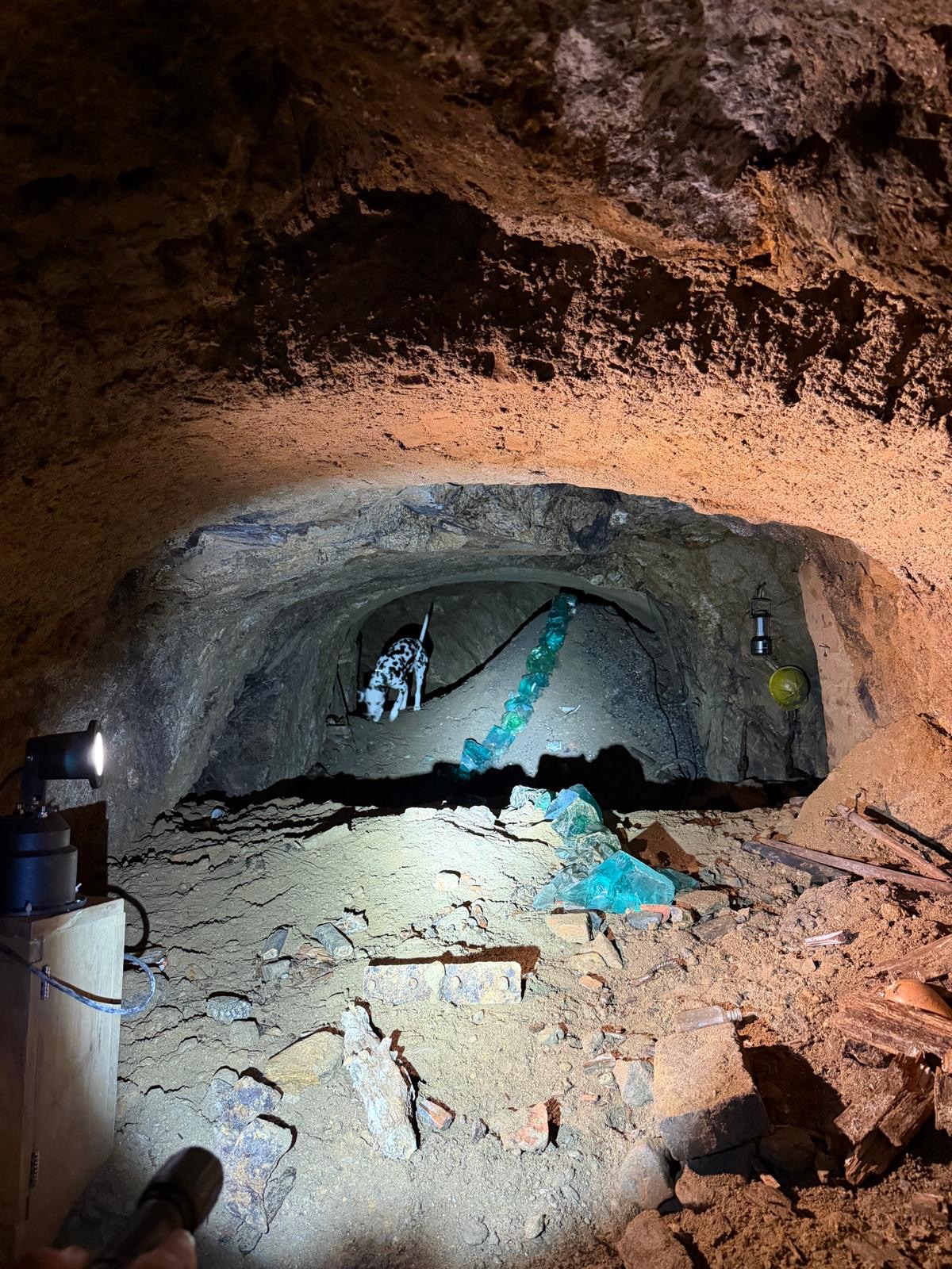 Teamtage des GEV - Trainingswochenende unter Freunden ⛑️🐕🦺🐾