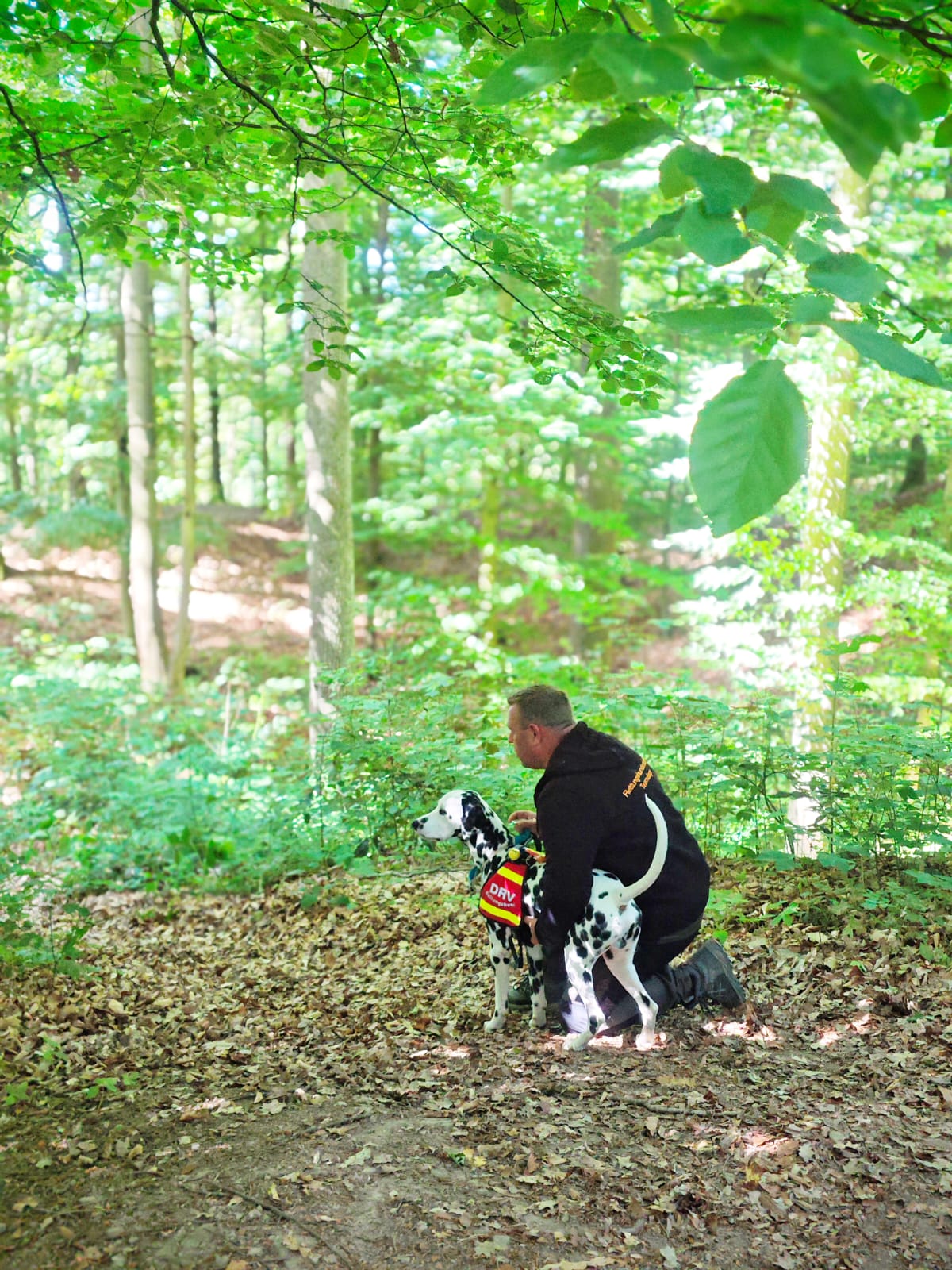 Junghundelehrgang in Maintal