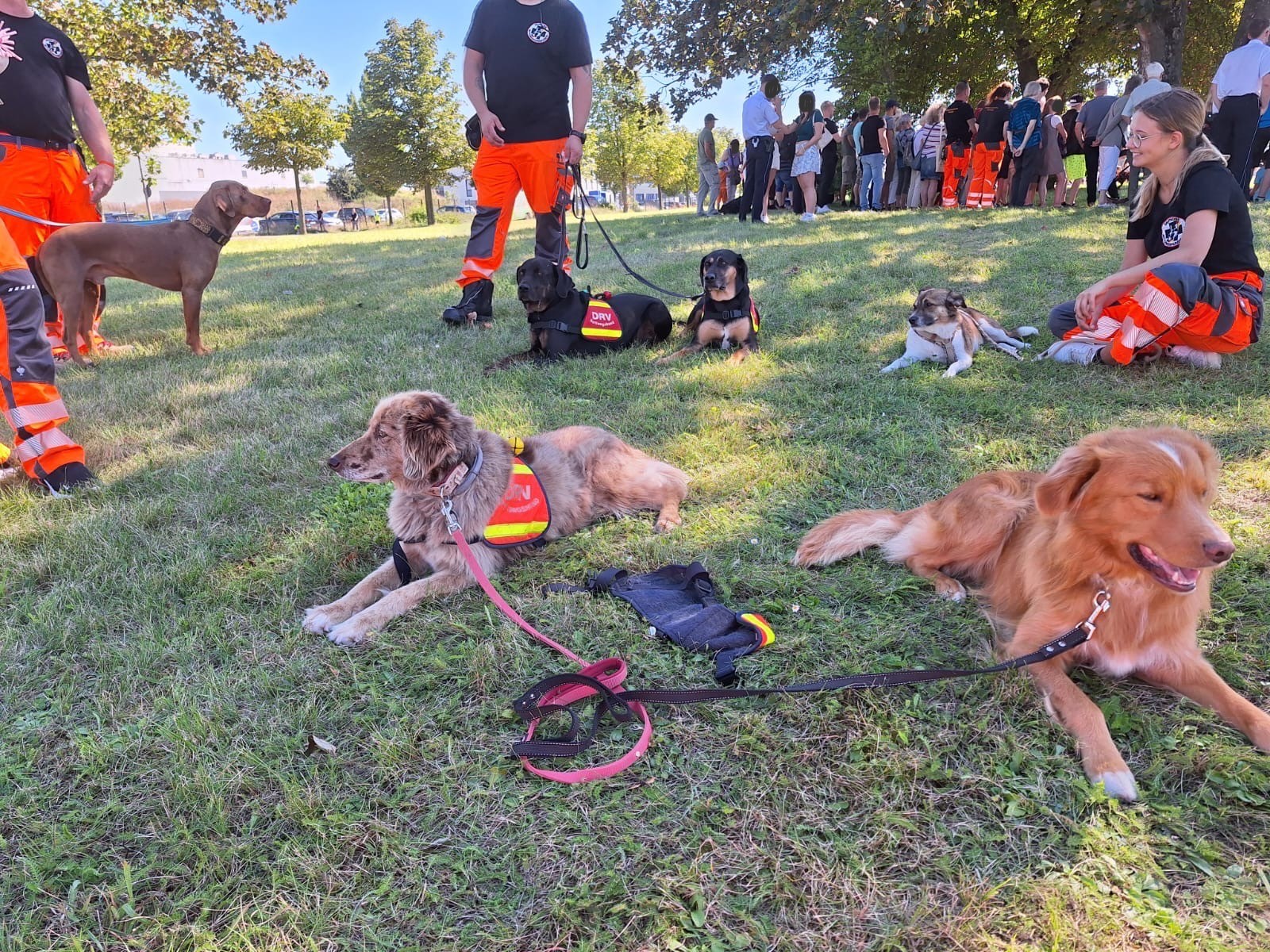 Tag der offenen Tür Polizei NDH