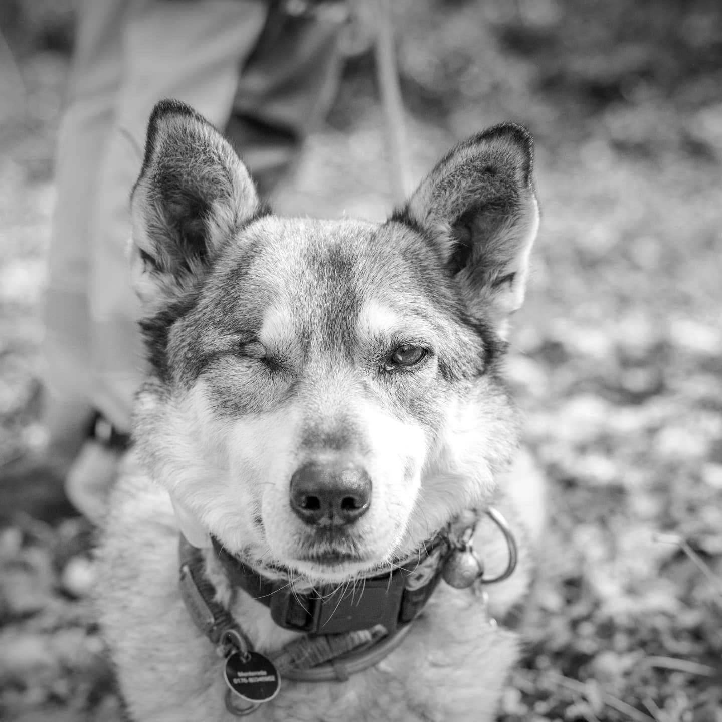 Run free Sabine 🌈🖤