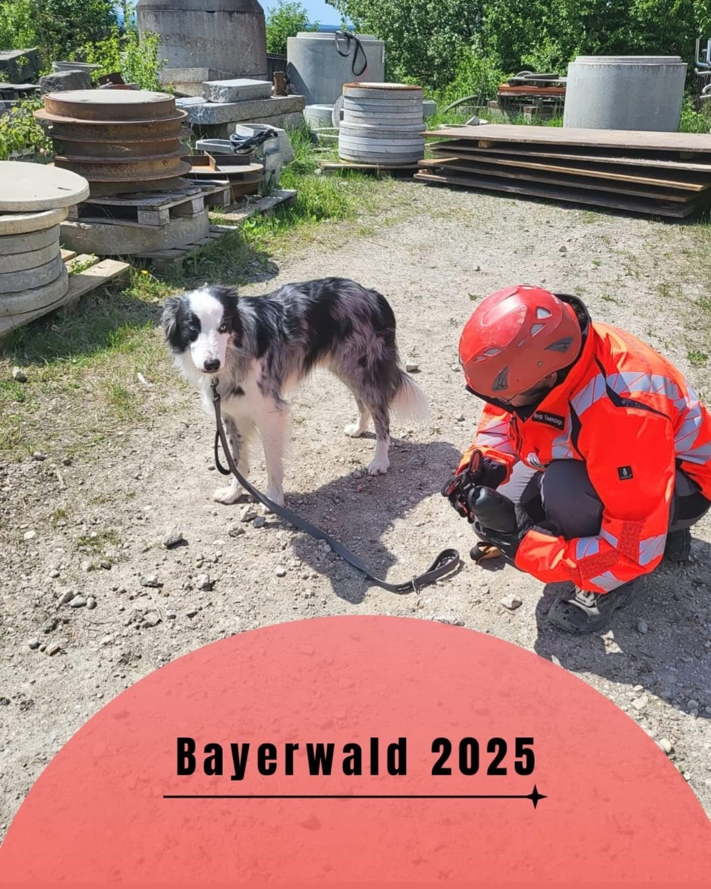 Bayerwaldlehrgang 2025